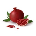 Isolated slice of ruby colorful pomegranate and whole round fruit with green leaf on white background. Realistic colored juicy