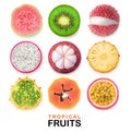 Isolated slices of tropical fruits Royalty Free Stock Photo