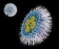 Isolated Small interfering RNA or siRNA, mRNA or CRISPR inside of liposome