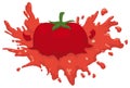 Isolated Smashed Juicy Tomato with some Seeds around it, Vector Illustration