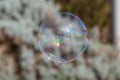 Isolated soap bubble with reflection Royalty Free Stock Photo