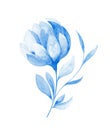 Isolated softness blue floral design elements. Abstract blue flower on white background. Royalty Free Stock Photo