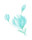 Isolated softness teal colored floral design elements. Abstract turquoise flowers with bud and leaves on white background Royalty Free Stock Photo