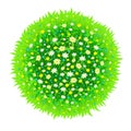 The isolated sphere from a green grass and flowers Royalty Free Stock Photo