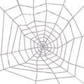 Isolated Spider Web Structure over White Background, Vector Illustration