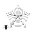 Isolated spider web