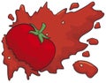 Isolated Splashed Red Tomato, Vector Illustration