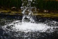 Isolated splashing white water bubbles and drops in closeup view. Royalty Free Stock Photo