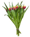 Isolated spring Easter bouquet of tulip flowers on white background Royalty Free Stock Photo