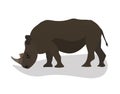 Isolated standing brown rhino. Vector illustration in flat style. White background Royalty Free Stock Photo