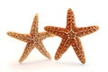 Isolated starfish couple