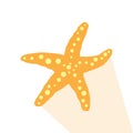 Isolated starfish icon