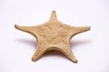Isolated starfish. Royalty Free Stock Photo