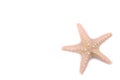 Isolated starfish on a white background.Top view Royalty Free Stock Photo