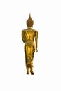 Isolated statue of golden Buddha from behind on white background Royalty Free Stock Photo