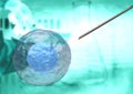 Isolated stem cell therapy for the treatment of diseases of the human body