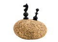 Isolated stone with two chessmans Royalty Free Stock Photo