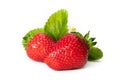 Isolated strawberries. Three fruits, one cut in half on white background Royalty Free Stock Photo