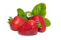 Isolated strawberries. Three fruits, one cut in half on white background Royalty Free Stock Photo