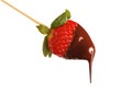 Isolated strawberry with chocolate