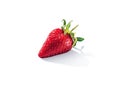 Isolated strawberry. Single strawberry fruit isolated Royalty Free Stock Photo