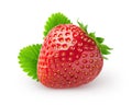 Isolated strawberry. Single strawberry fruit with leaves isolated on white background, with clipping path.