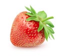 Isolated strawberry. Whole single strawberry fruit isolated on white background with clipping path. Royalty Free Stock Photo