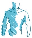 Isolated Stylized muscular man in blue Royalty Free Stock Photo