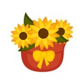 Isolated sunflowers on a flower pot