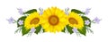 Isolated sunflowers, wedding flower bouquet. Yellow petals, single floral daisy composition for border or frame