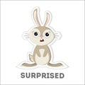 Isolated surprised rabbit.