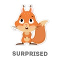 Isolated surprised squirrel.