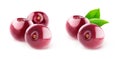 Isolated sweet cherries Royalty Free Stock Photo