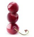 Isolated sweet cherries on top of each other Royalty Free Stock Photo