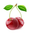 Isolated sweet cherries Royalty Free Stock Photo