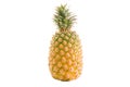 Isolated Taiwanese pineapple, fruit