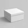 An isolated tall rectangle blank box with a grey background in white. Royalty Free Stock Photo