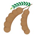 isolated tamarind on white background vector design Royalty Free Stock Photo
