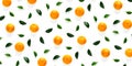 Isolated tangerine citrus collection background with leaves. Tangerines or mandarin orange fruits on white background. mandarine Royalty Free Stock Photo