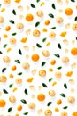 Isolated tangerine citrus collection background with leaves. Tangerines or mandarin orange fruits on white background. mandarine Royalty Free Stock Photo