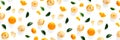 Isolated tangerine citrus collection background with leaves. Tangerines or mandarin orange fruits on white background. mandarine Royalty Free Stock Photo