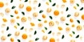 Isolated tangerine citrus collection background with leaves. Tangerines or mandarin orange fruits on white background. mandarine