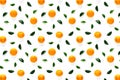 Isolated tangerine citrus collection background with leaves. Tangerines or mandarin orange fruits on white background. mandarine Royalty Free Stock Photo