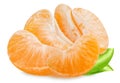 Isolated tangerine or mandarin. Slices of citrus fruit isolated on white background. Tangerine, mandarin, clementine.
