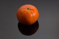 Isolated tangerine Royalty Free Stock Photo