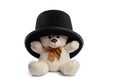 Isolated teddy bear with black hat Royalty Free Stock Photo