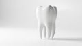 Isolated tooth model Royalty Free Stock Photo