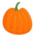 Isolated traditional thanksgiving pumpkin on white