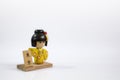 Isolated traditional, wooden Japanese toy with white background. Royalty Free Stock Photo