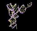 Isolated Transfer RNA (abbreviated tRNA and formerly referred to as sRNA Royalty Free Stock Photo